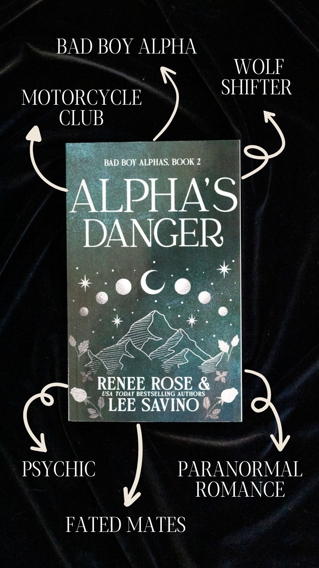 Bad Boy Alphas 2: Alpha's Danger - Discreet Edition Midnight Romance Publishing