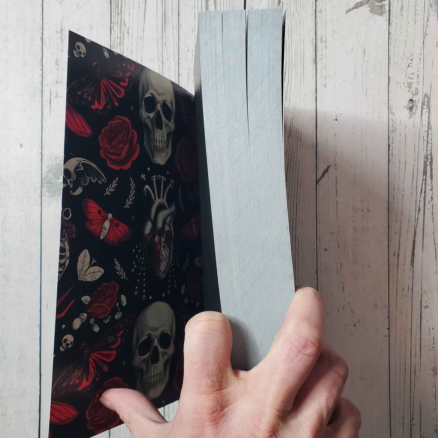 Extra Wicked Things Deluxe Version w/All Black Pages & 30 Illustrations Cassie Alexander