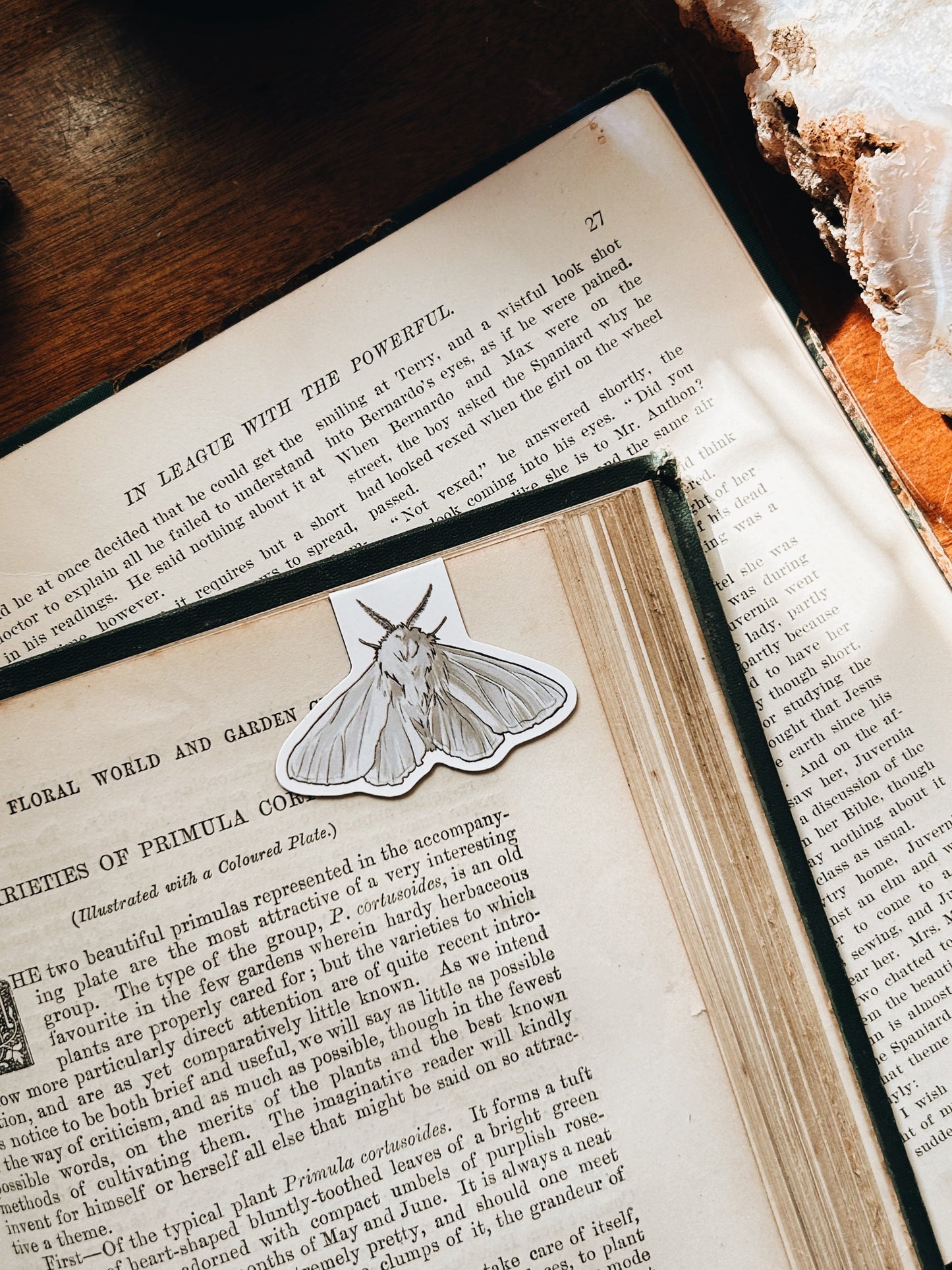 Enchanted Forest | Magnetic Bookmark Fablewood Goods