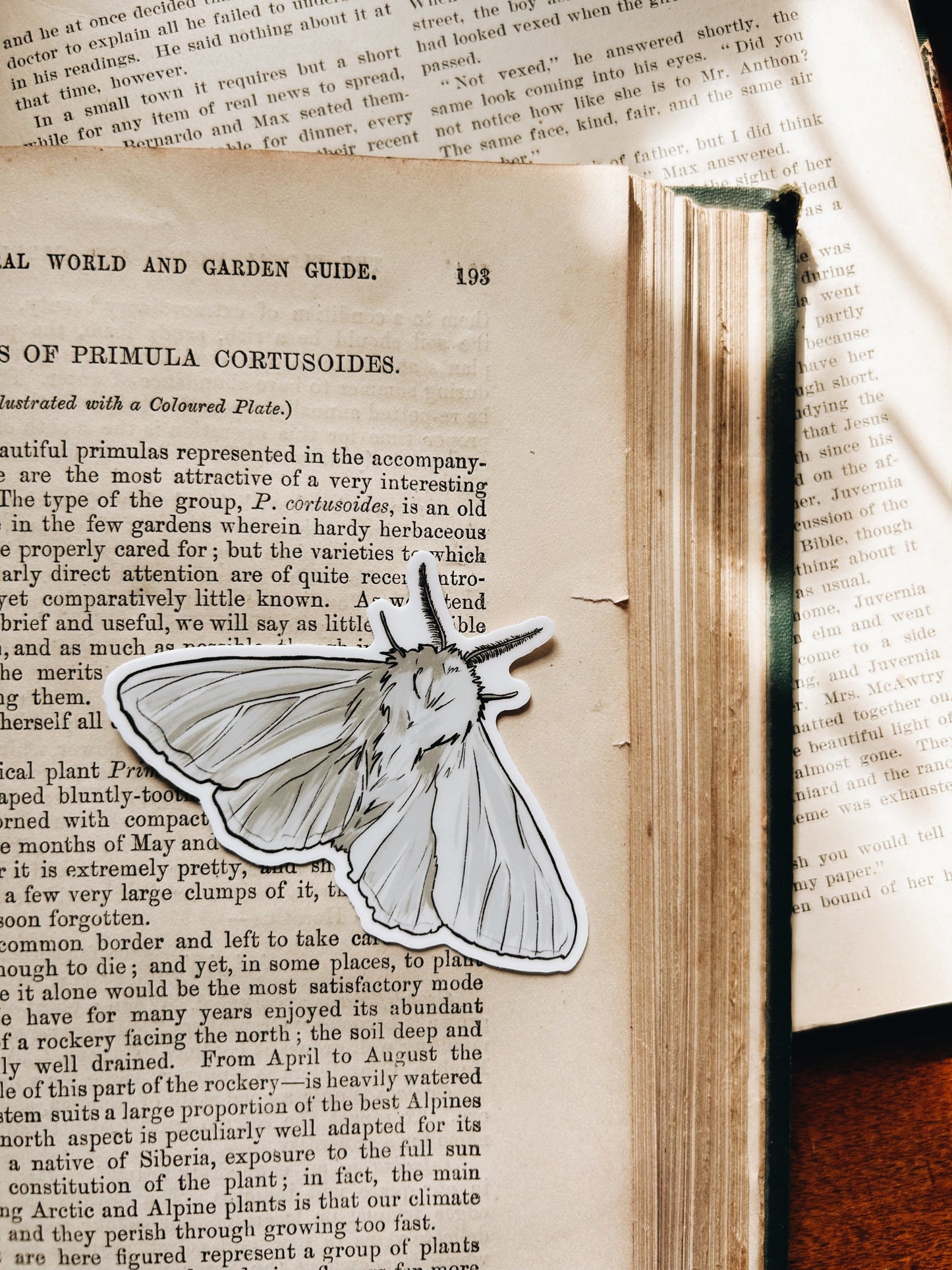 Enchanted Forest | Waterproof Vinyl Stickers | 3" Fablewood Goods