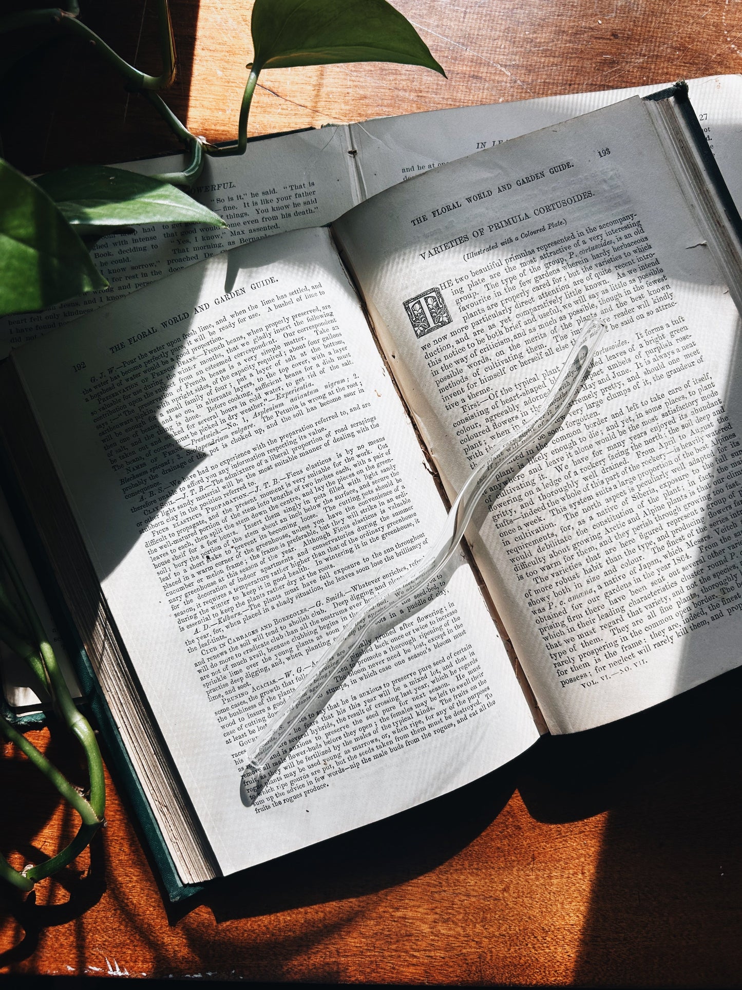 Wiggly Glass Straw Fablewood Goods