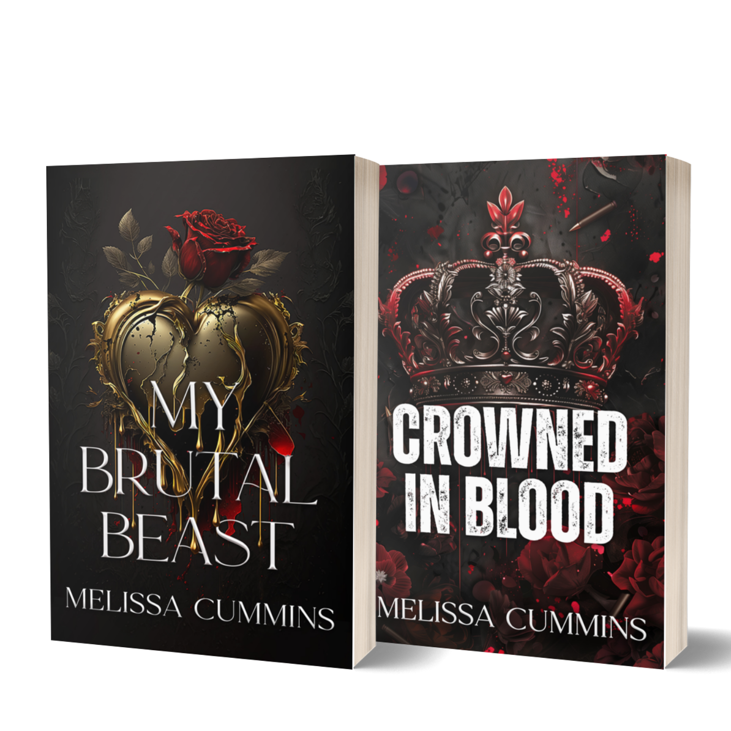 Spicy Standalone Paperback Bundle - Dark Romance Melissa Cummins