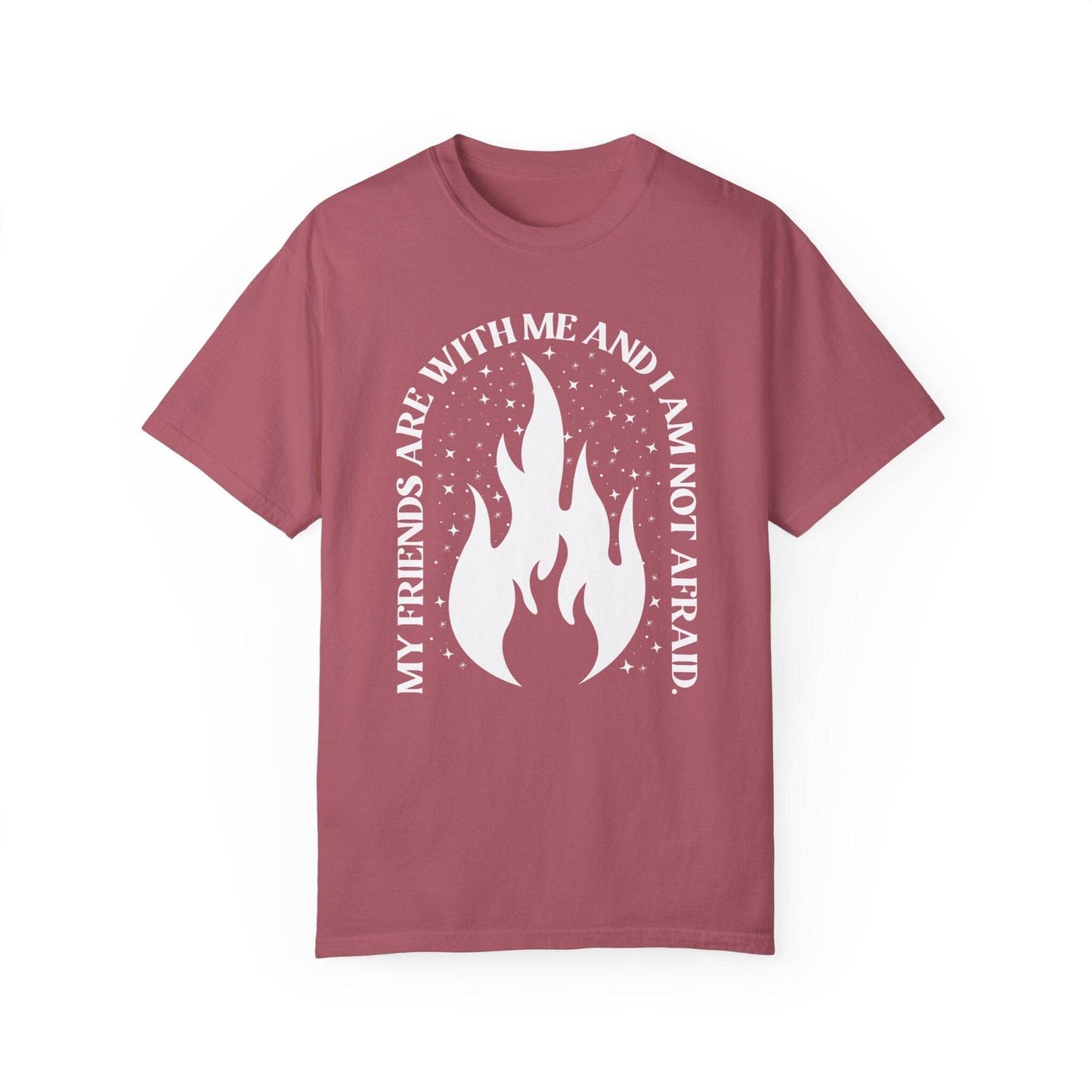 CrescentCatCo - My Friends are With Me Bookish Shirt | Crescent City SJM Merch