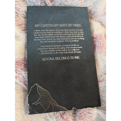 Bad Boy Alphas 3: Alpha's Prize - Collector's Edition Midnight Romance Publishing