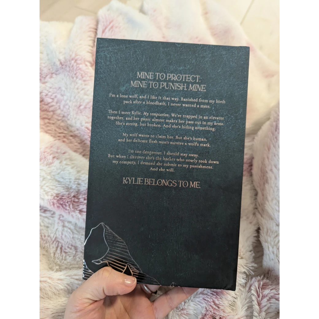 Bad Boy Alphas 1: Alpha's Temptation - Collector's Edition Midnight Romance Publishing