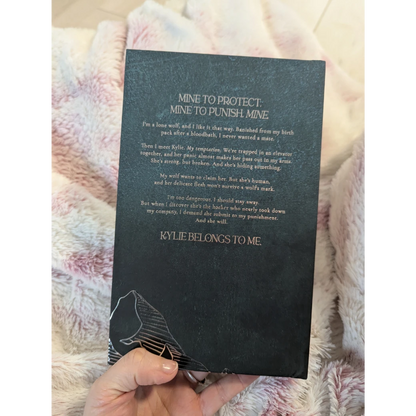 Bad Boy Alphas 1: Alpha's Temptation - Collector's Edition Midnight Romance Publishing