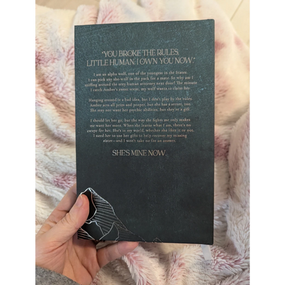 Bad Boy Alphas 2: Alpha's Danger - Collector's Edition Midnight Romance Publishing