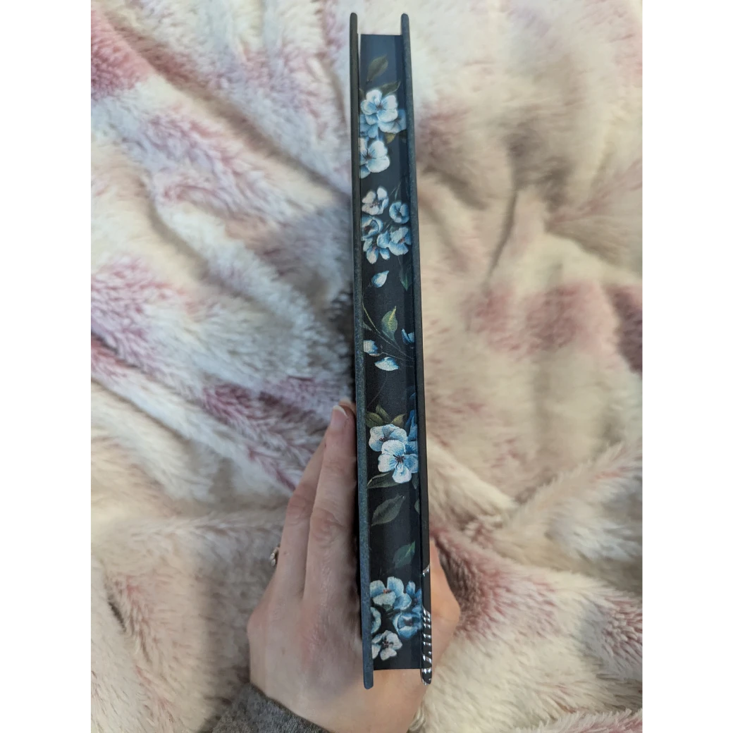 Bad Boy Alphas 3: Alpha's Prize - Collector's Edition Midnight Romance Publishing