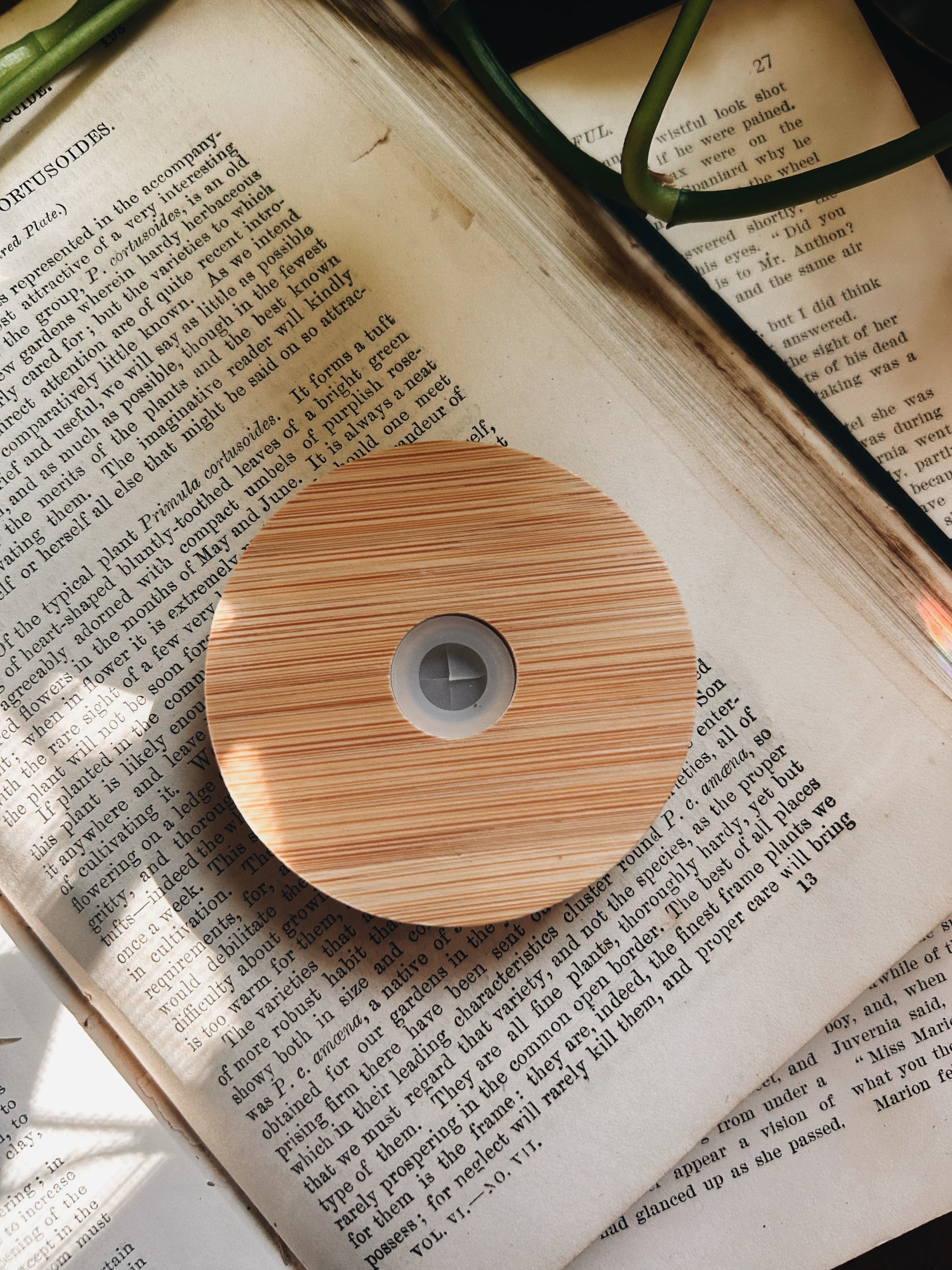 Bamboo Lid + Glass Straw Fablewood Goods