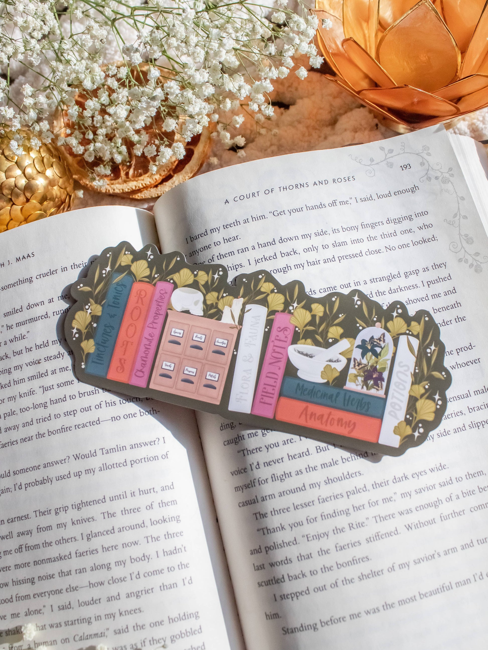 Bookmark - Apothecary Bookshelf Smitten Booktique