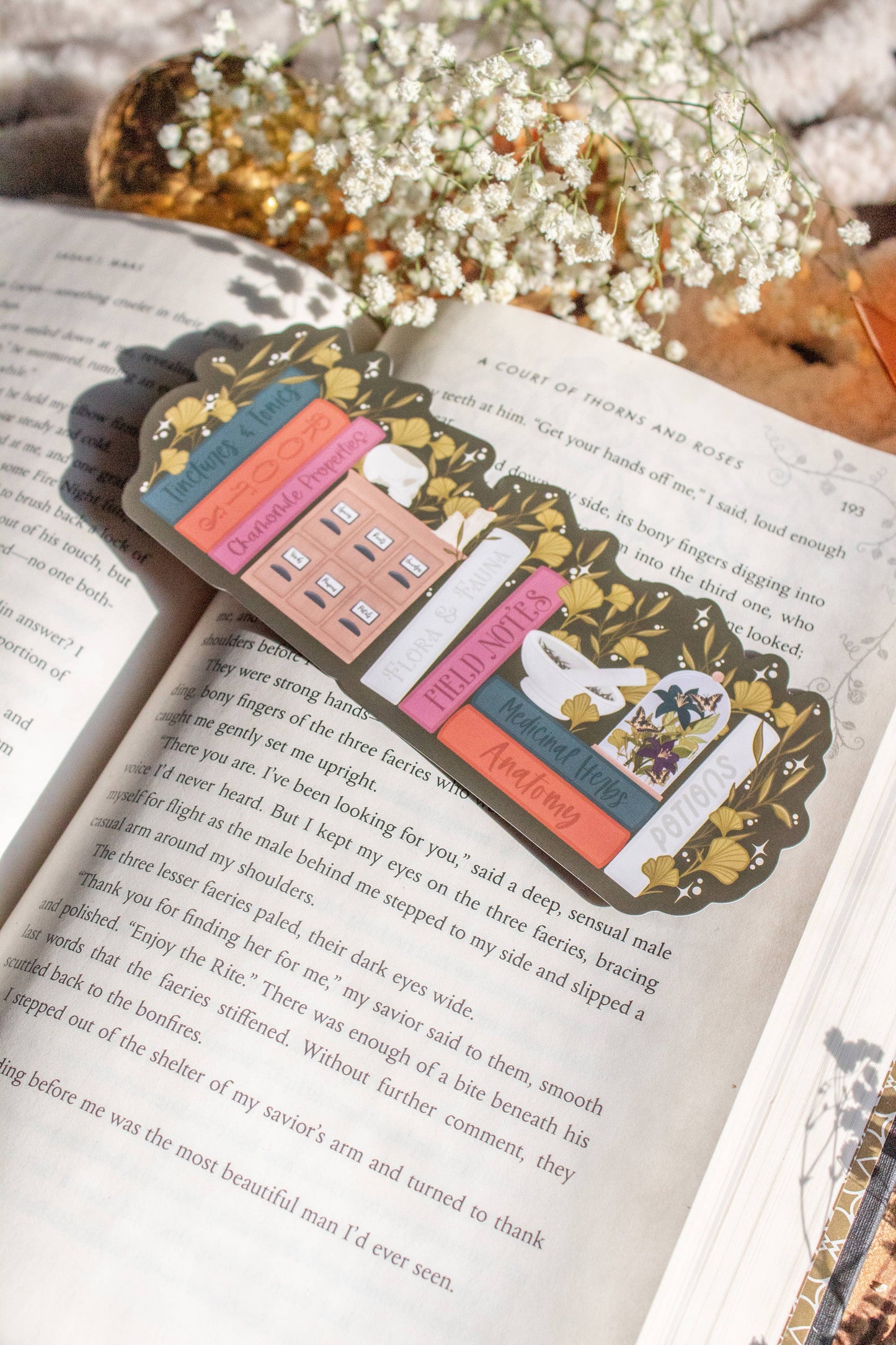 Bookmark - Apothecary Bookshelf Smitten Booktique