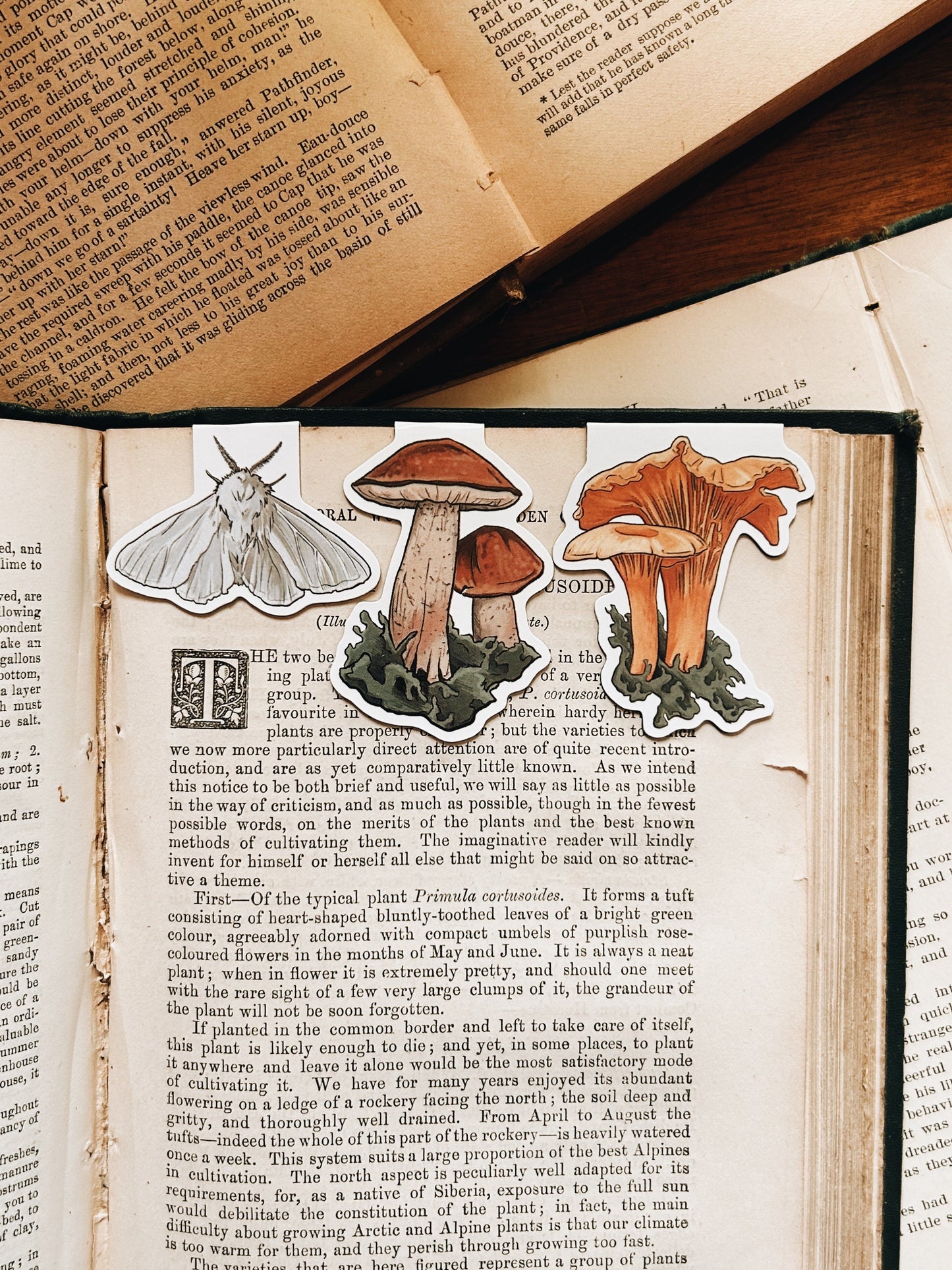 Enchanted Forest | Magnetic Bookmark Fablewood Goods