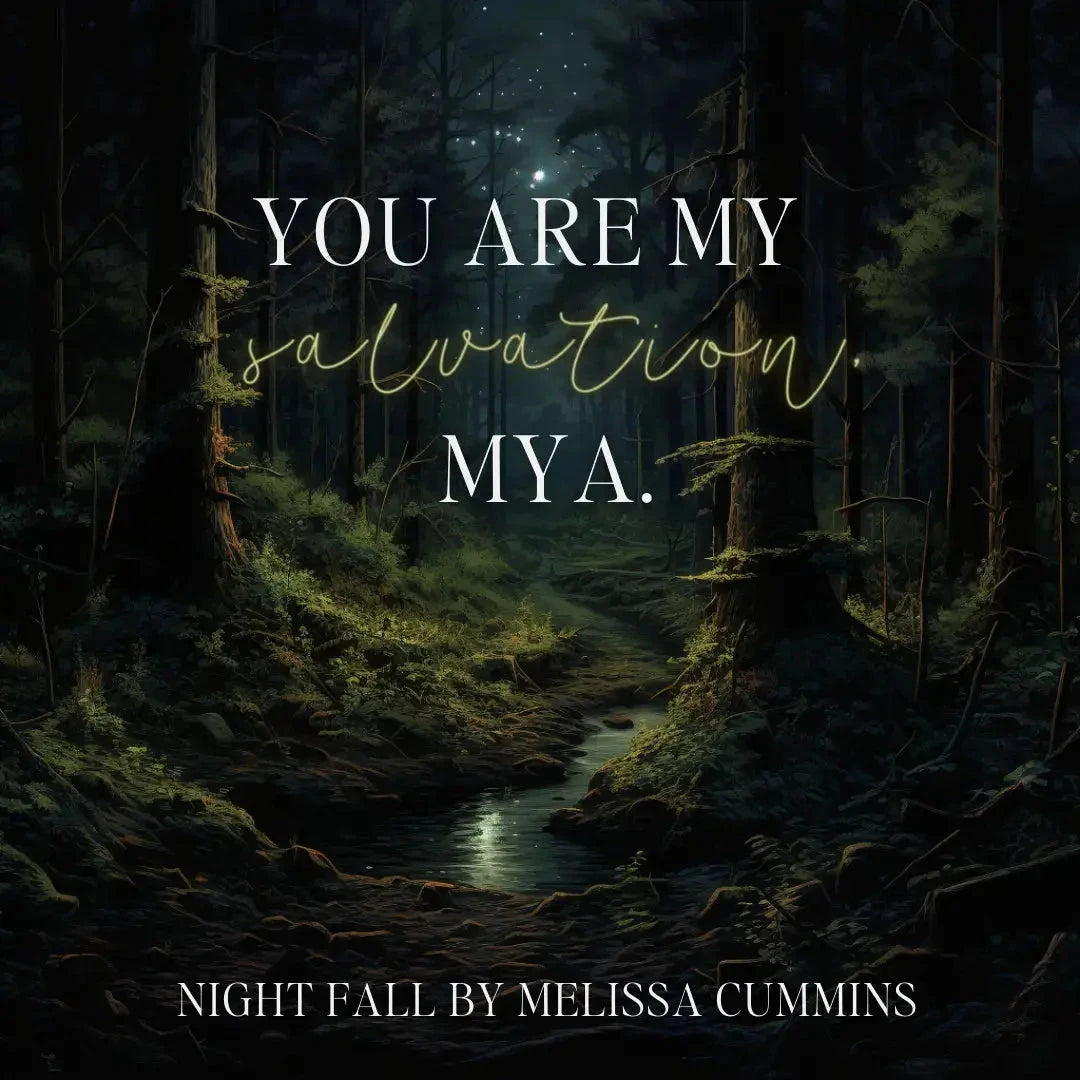 Night Fall Audiobook (Single Cast) Melissa Cummins