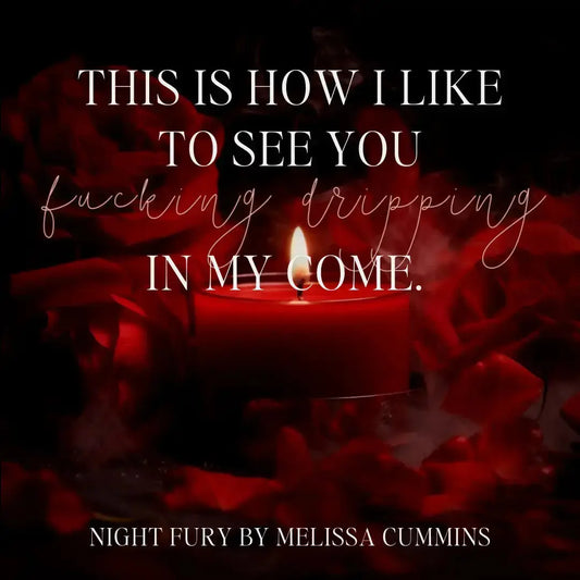 Night Fury Audiobook (Single Cast) Melissa Cummins