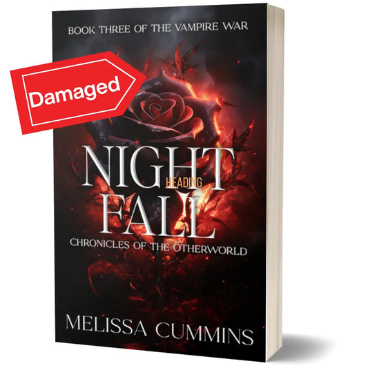 Scratch & Dent - Night Fall Paperback Melissa Cummins