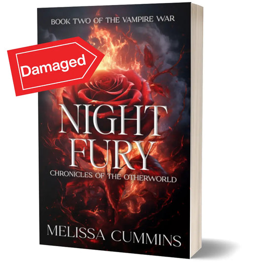 Scratch & Dent - Night Fury Paperback Melissa Cummins