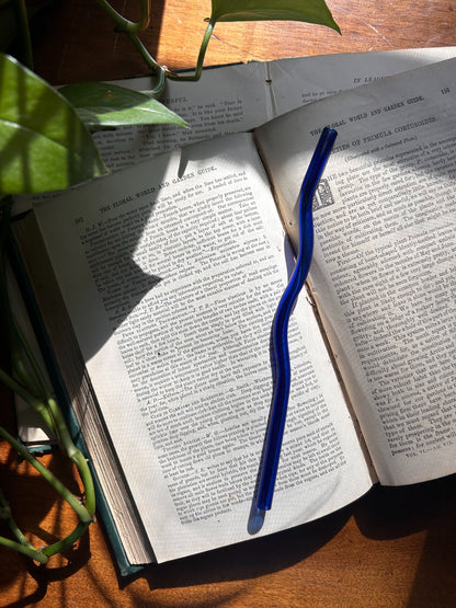 Wiggly Glass Straw Fablewood Goods