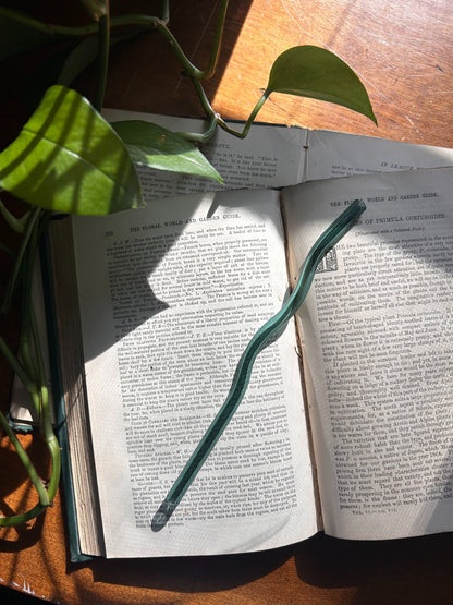 Wiggly Glass Straw Fablewood Goods