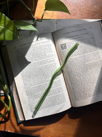 Wiggly Glass Straw Fablewood Goods