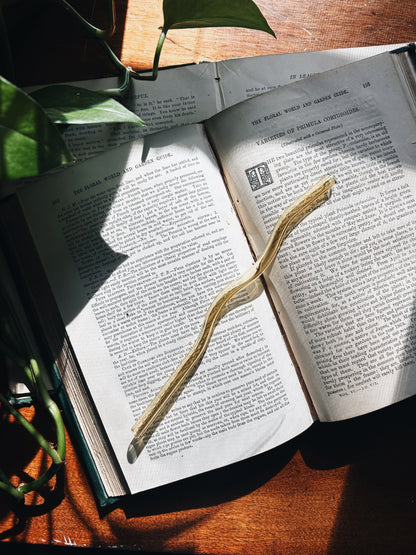 Wiggly Glass Straw Fablewood Goods