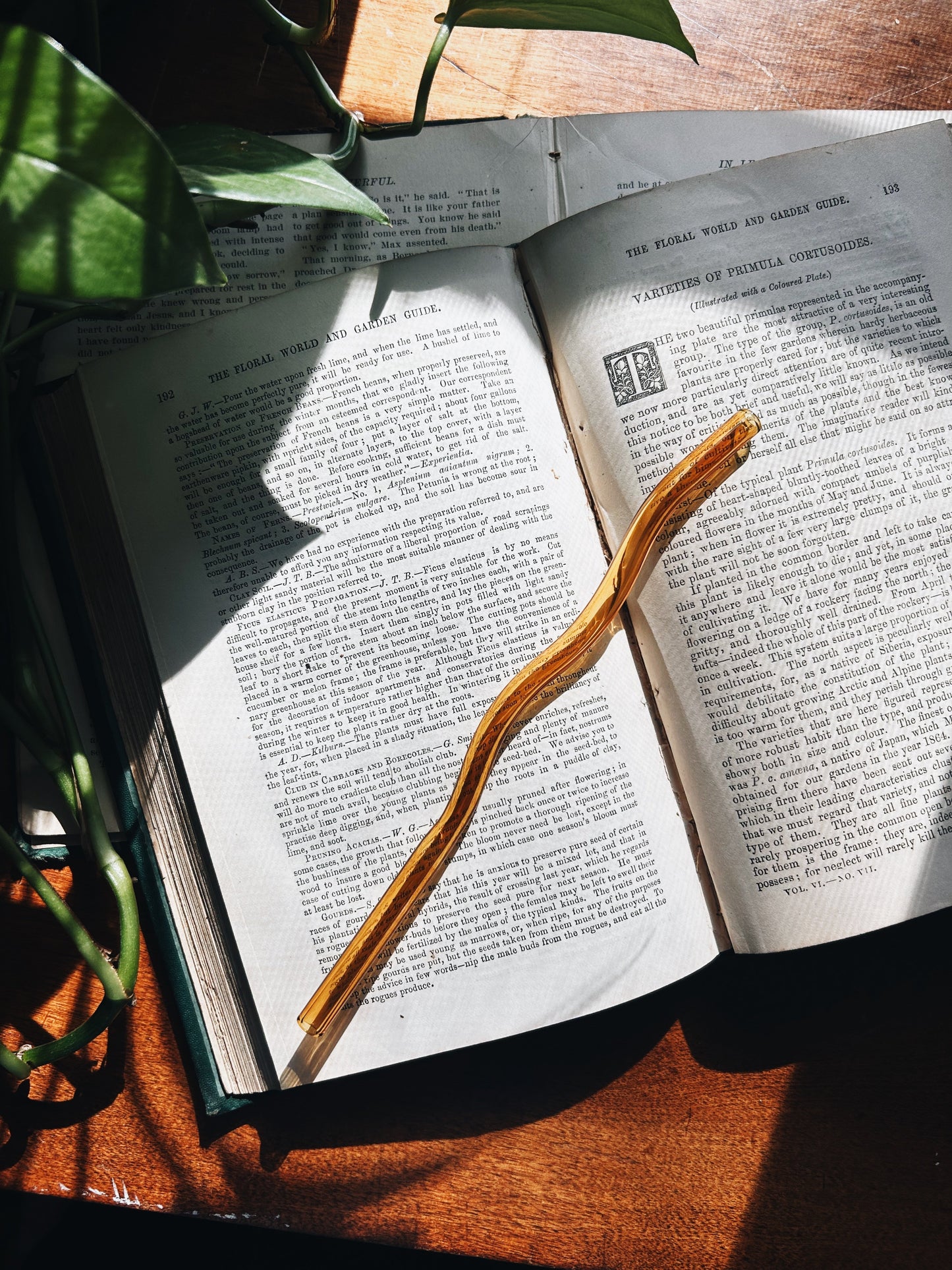 Wiggly Glass Straw Fablewood Goods