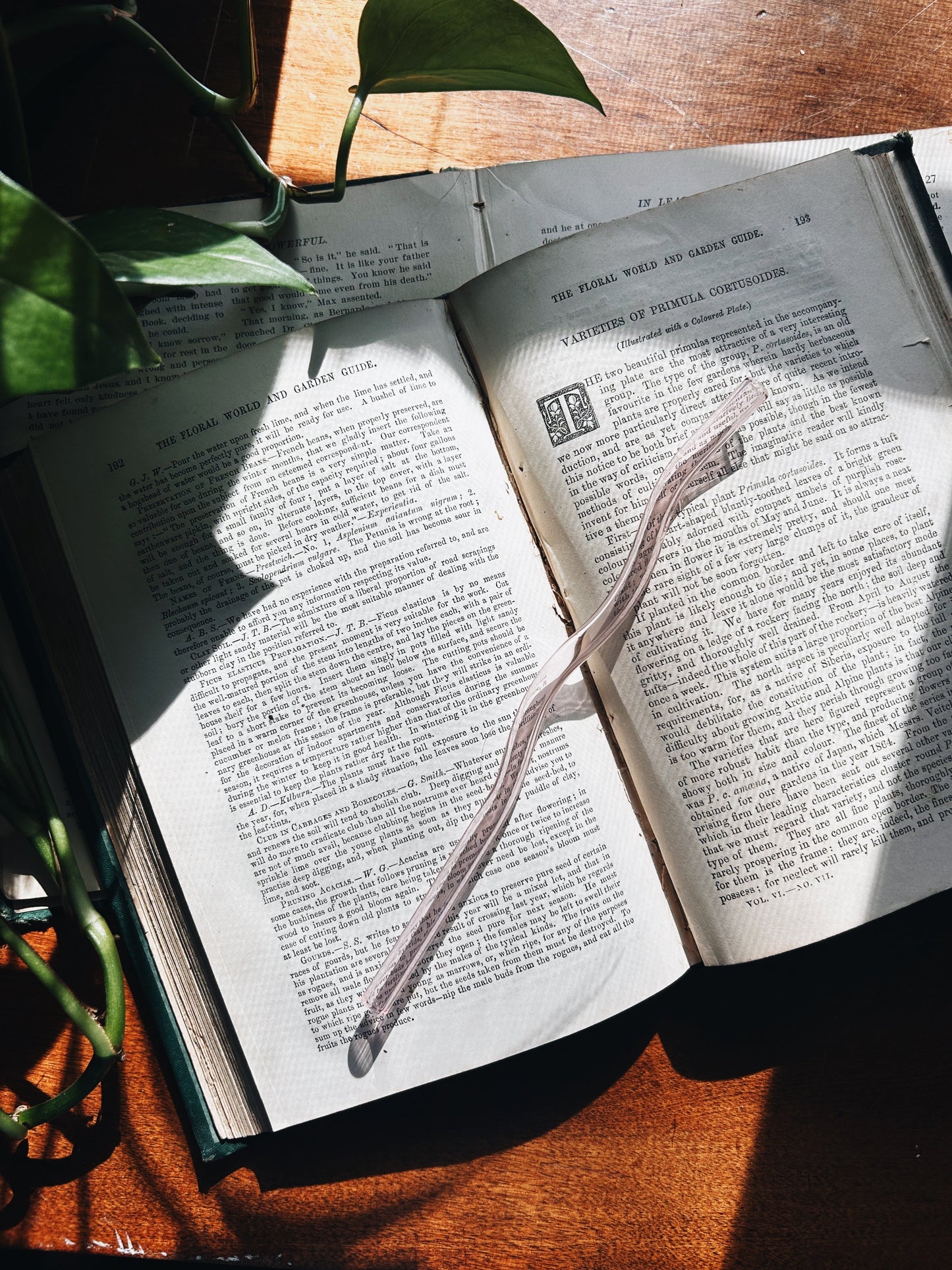 Wiggly Glass Straw Fablewood Goods