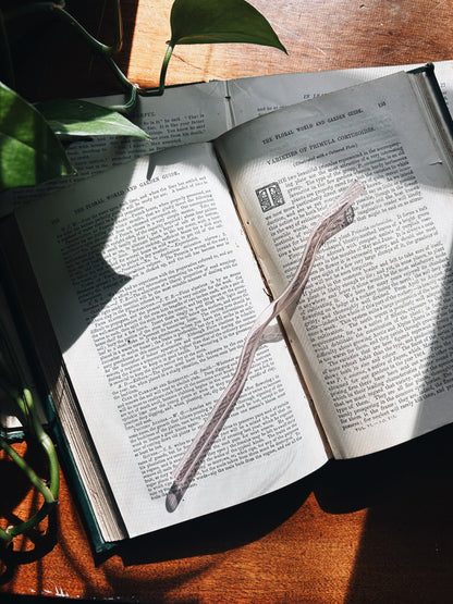 Wiggly Glass Straw Fablewood Goods