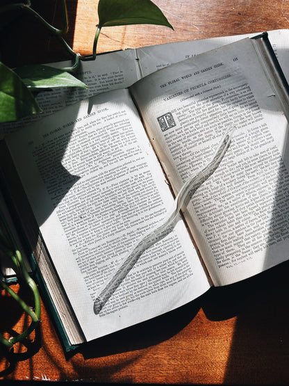 Wiggly Glass Straw Fablewood Goods