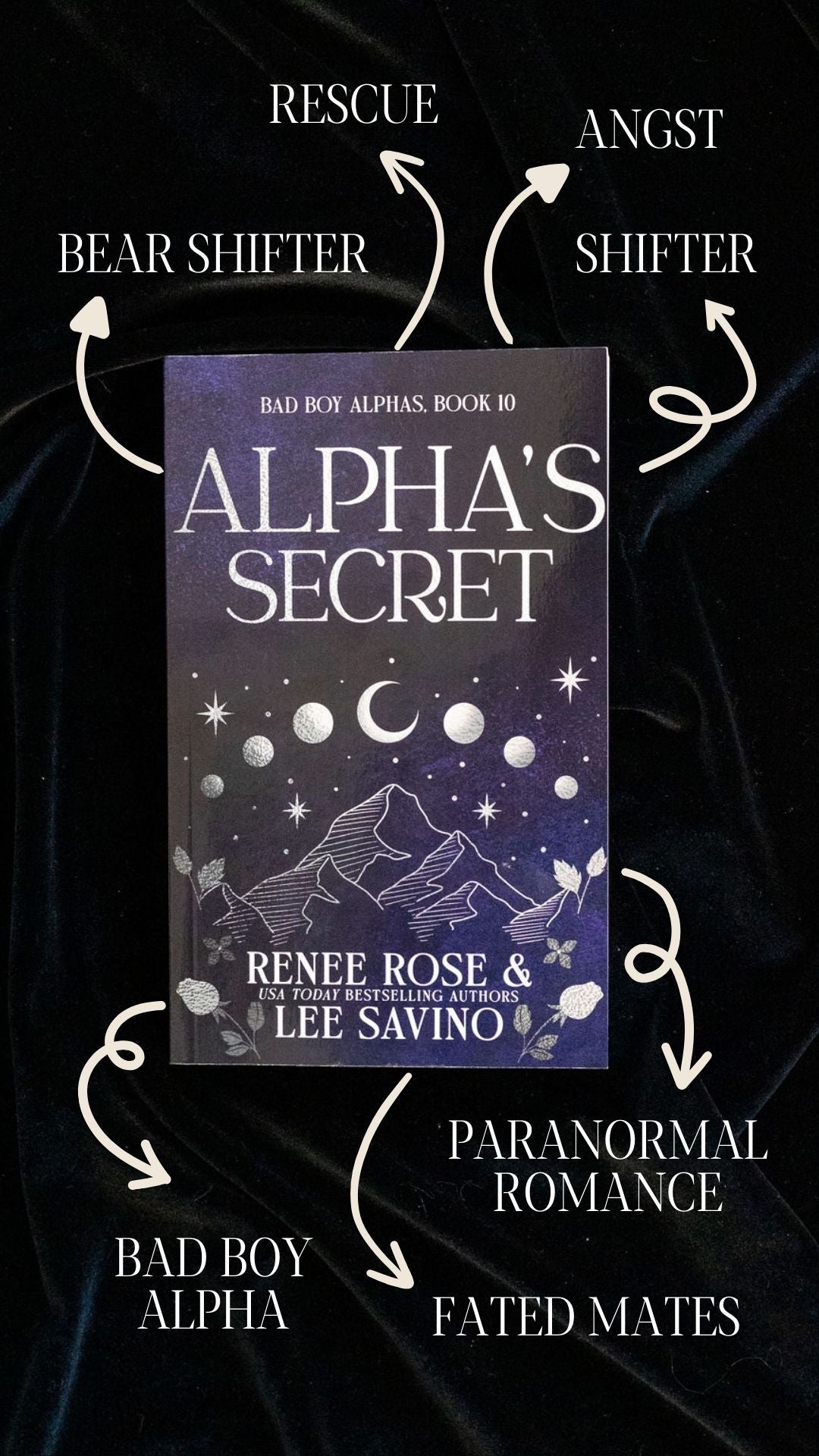 Bad Boy Alphas 10: Alpha's Secret - Discreet Paperback